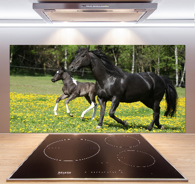 Platte für Küchenrückwand Stute mit Fohlen