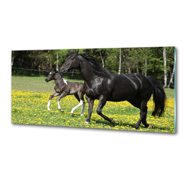 Platte für Küchenrückwand Stute mit Fohlen