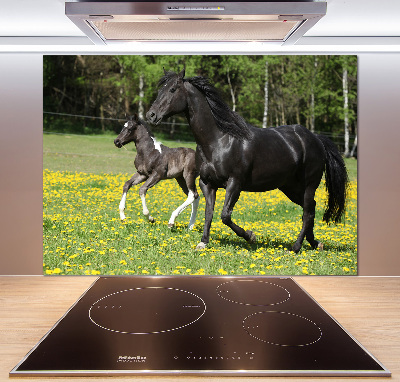 Platte für Küchenrückwand Stute mit Fohlen