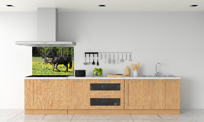 Platte für Küchenrückwand Stute mit Fohlen