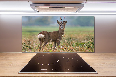 Glasrückwand für die küche Rogen