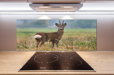 Glasrückwand für die küche Rogen