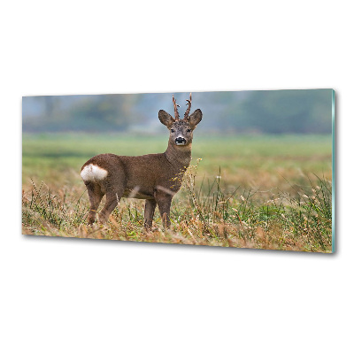 Glasrückwand für die küche Rogen