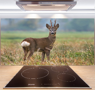 Glasrückwand für die küche Rogen