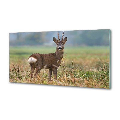 Glasrückwand für die küche Rogen