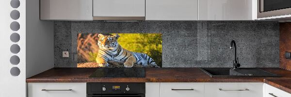 Platte für Küchenrückwand Porträt eines Tigers