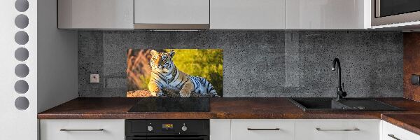 Platte für Küchenrückwand Porträt eines Tigers