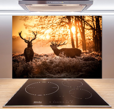 Küchen wandpaneel Hirsch-Sonnenaufgang