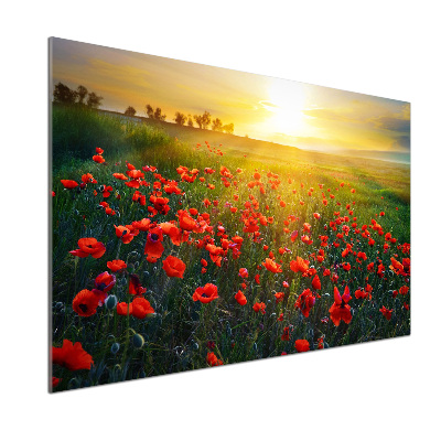 Platte für Küchenrückwand Mohnfeld