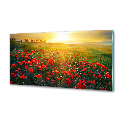 Platte für Küchenrückwand Mohnfeld