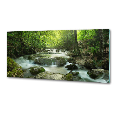 Platte für Küchenrückwand Wasserfall im Wald