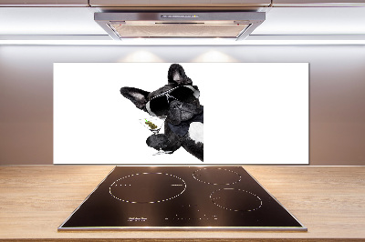 Küchen wandpaneel Martini Dog