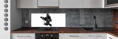 Küchen wandpaneel Martini Dog