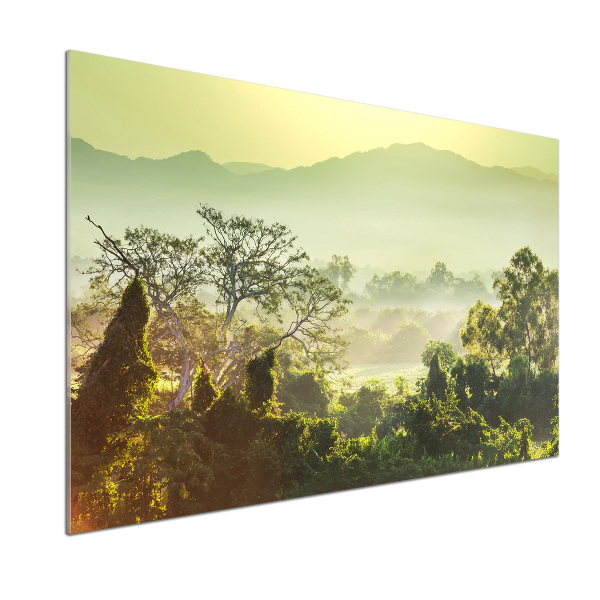 Platte für Küchenrückwand Dschungel