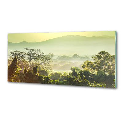 Platte für Küchenrückwand Dschungel