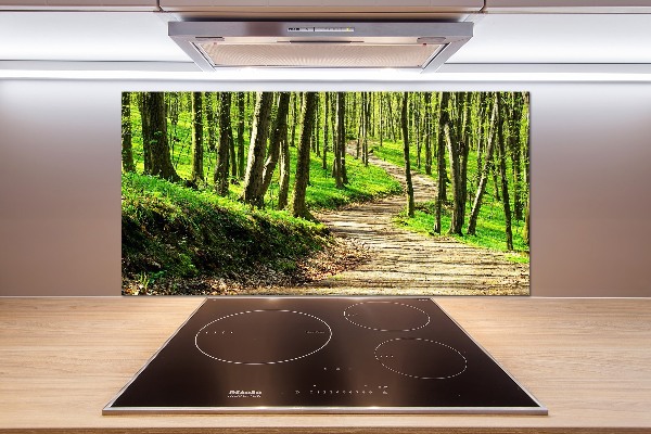 Küchen wandpaneel Pfad im Wald