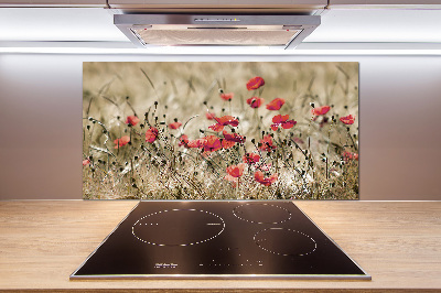 Platte für Küchenrückwand Mohnblumen