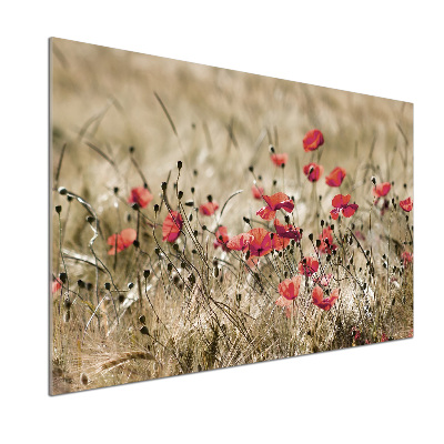 Platte für Küchenrückwand Mohnblumen