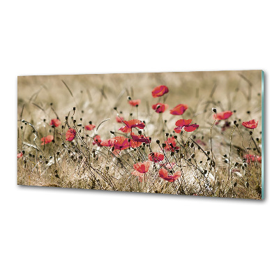 Platte für Küchenrückwand Mohnblumen