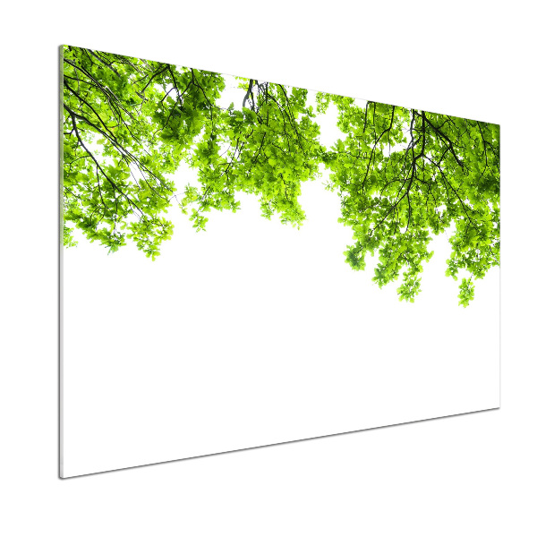 Glasrückwand für die küche Eichenblätter