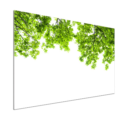 Glasrückwand für die küche Eichenblätter