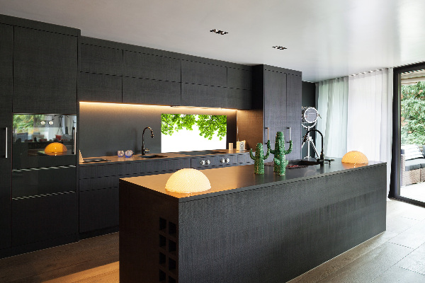 Glasrückwand für die küche Eichenblätter