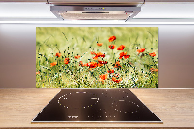 Platte für Küchenrückwand Mohnblumen