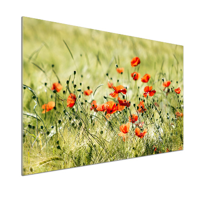 Platte für Küchenrückwand Mohnblumen