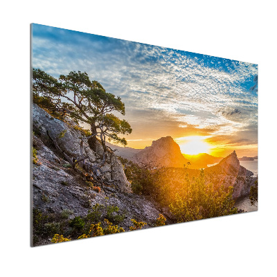 Platte für Küchenrückwand Sonnenuntergang