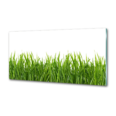 Glasrückwand für die küche Gras