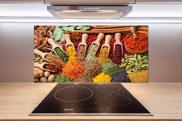 Glasrückwand für die küche Bunte Gewürze