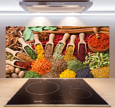 Glasrückwand für die küche Bunte Gewürze