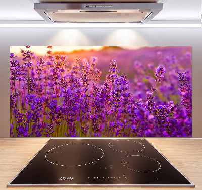 Platte für Küchenrückwand Lavendelfeld