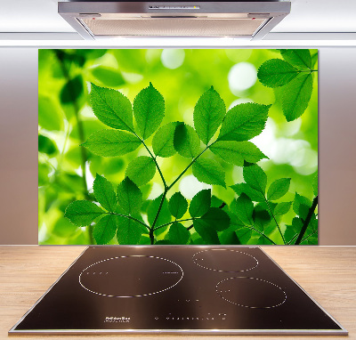 Küchen wandpaneel Grüne Blätter