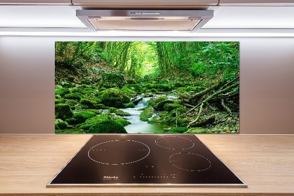 Küchen wandpaneel Ein Bach im Wald