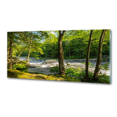 Platte für Küchenrückwand Fluss im Wald