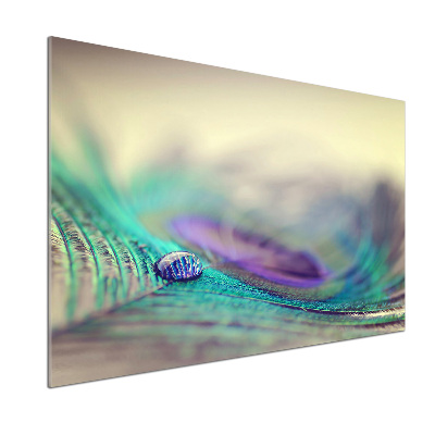 Küchen wandpaneel Ein Tropfen auf einer Feder