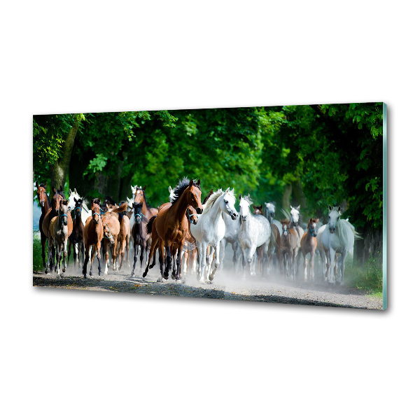 Platte für Küchenrückwand Pferde im Galopp