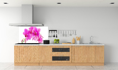 Glasrückwand für die küche Rosa Orchidee