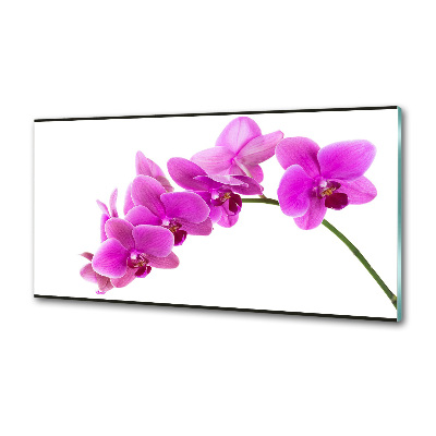 Küchen wandpaneel Rosa Orchidee