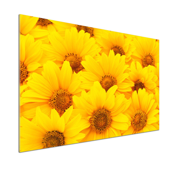 Platte für Küchenrückwand Sonnenblumen