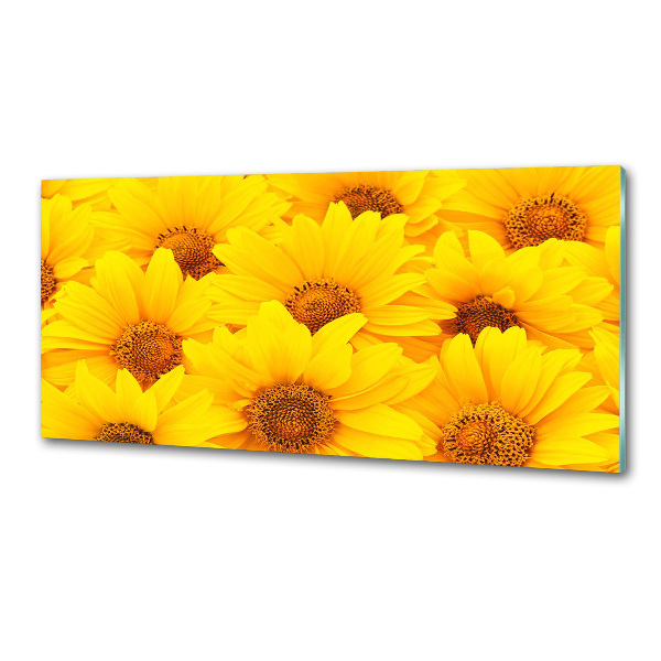 Platte für Küchenrückwand Sonnenblumen
