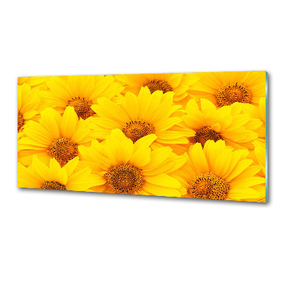 Platte für Küchenrückwand Sonnenblumen