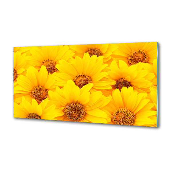 Platte für Küchenrückwand Sonnenblumen