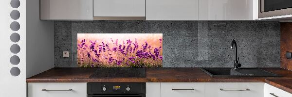Küchen wandpaneel Lavendel