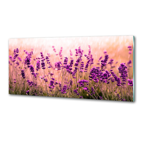Küchen wandpaneel Lavendel