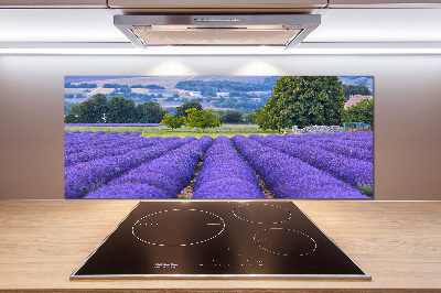 Platte für Küchenrückwand Lavendelfeld