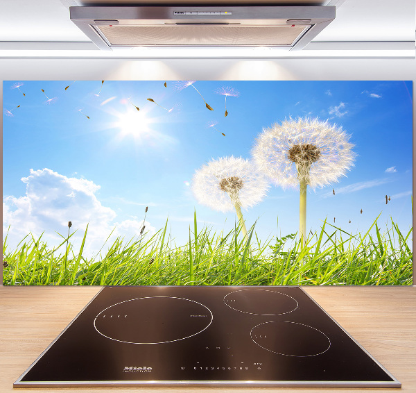 Küchen wandpaneel Löwenzahn