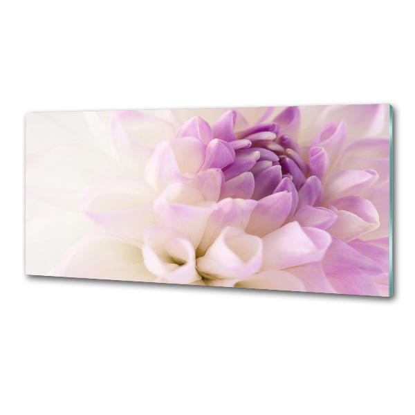 Glasrückwand für die küche Weiße Dahlie