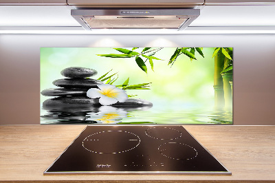 Glasrückwand für die küche Plumeria und Bambus